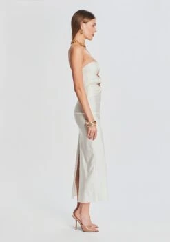 Lily Lycra Maxi Dress -TrendAura Store Ecommerce Crop 221129 Ecom Set2 SHOT 12 1915