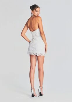 Eliza Lace Strapless Mini Dress -TrendAura Store Ecommerce Crop 230510 Set2 SHOT 41 4575 eComm