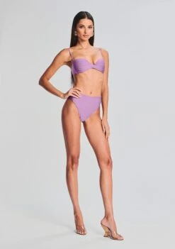 Karen Bikini Top -TrendAura Store Ecommerce Crop 230621 ECOM SET2 SHOT 21 2945 dustylilac ecomm