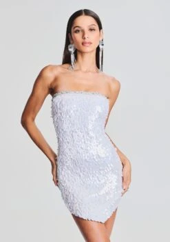 Kelly Feather Sequin Dress -TrendAura Store Ecommerce Crop 230816 SET2 KELLYDRESS 6868 ECOMM