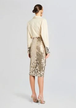 Brelan Embellished Skirt -TrendAura Store Ecommerce Crop 24 02 29 OZELLASHIRT BRELANSKIRT CHAMPAGNEDUST 1103 ECOMM 99bd0396 48cb 4dc1 a076 a2eb0390e872