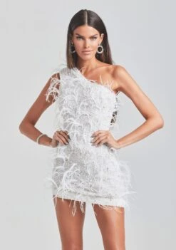 Sina Feather Dress -TrendAura Store Ecommerce Crop Retrofete Ecomm set2 Look33 3104